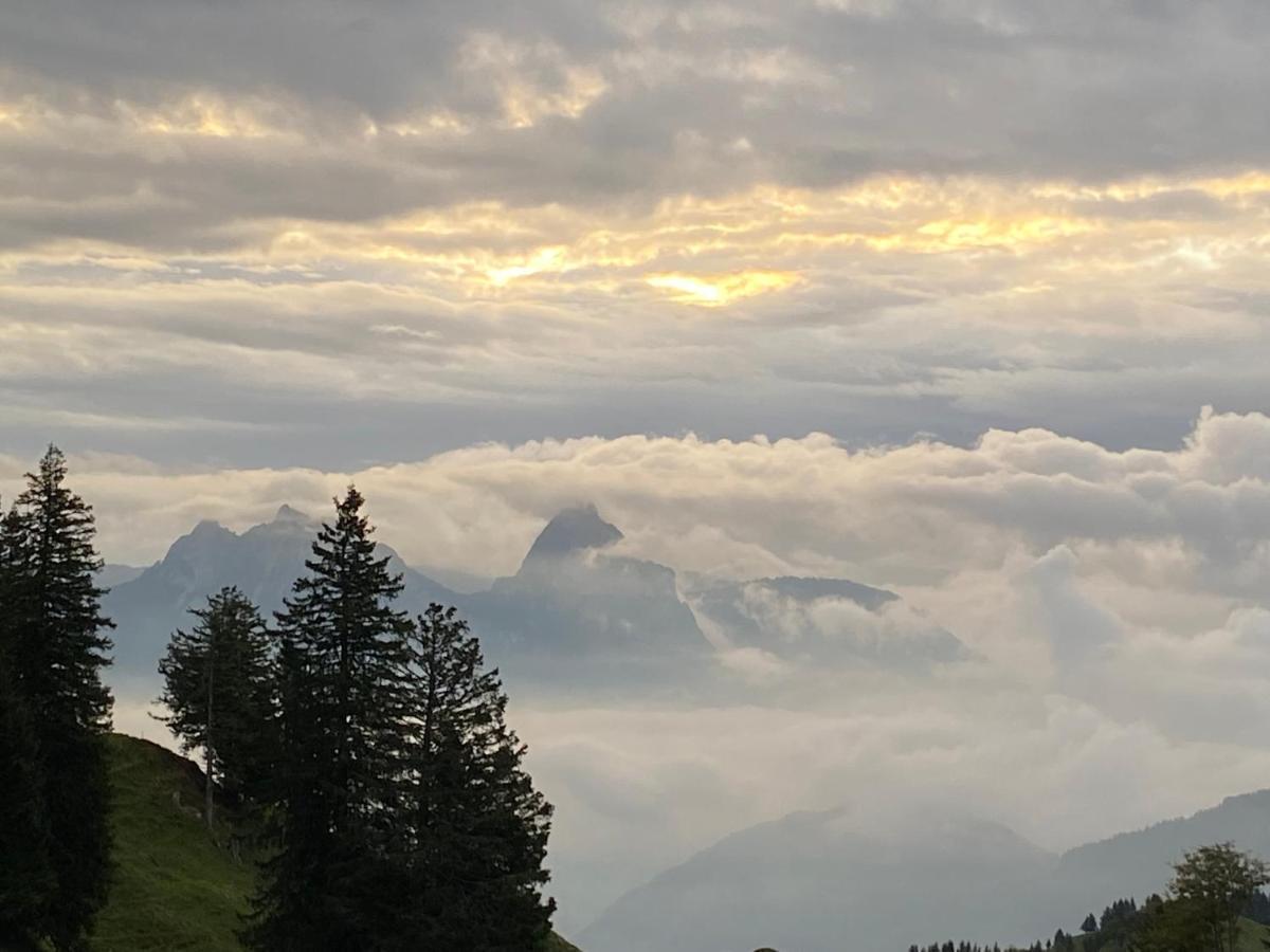 Rigi-Burggeist Alpine Guesthouse 게르사우 외부 사진