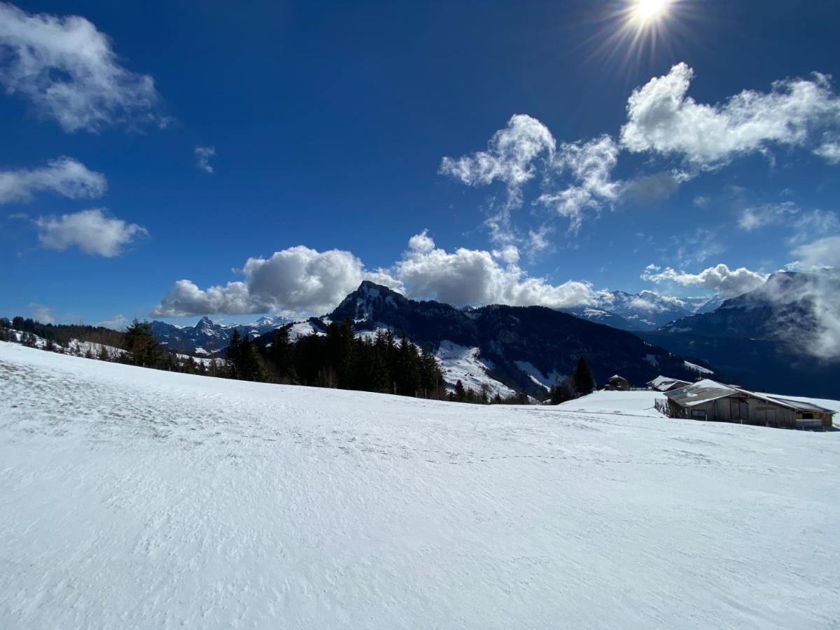 Rigi-Burggeist Alpine Guesthouse 게르사우 외부 사진