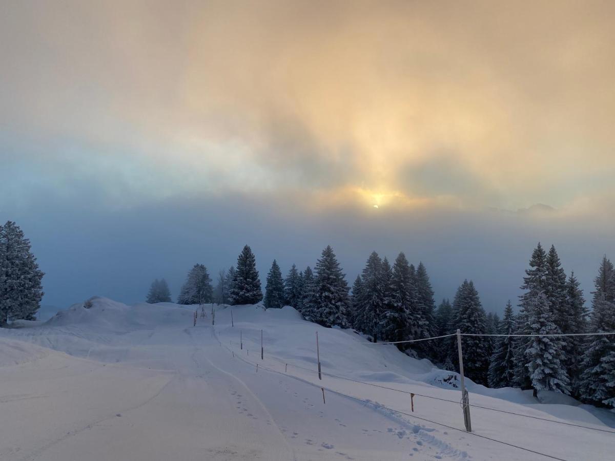 Rigi-Burggeist Alpine Guesthouse 게르사우 외부 사진