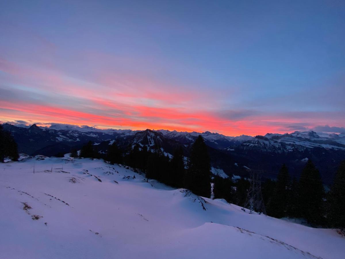 Rigi-Burggeist Alpine Guesthouse 게르사우 외부 사진