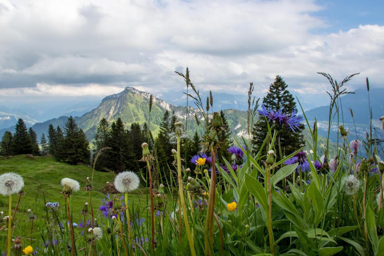 Rigi-Burggeist Alpine Guesthouse 게르사우 외부 사진