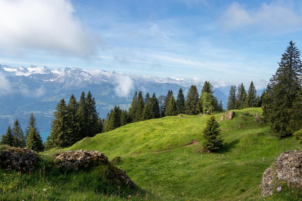 Rigi-Burggeist Alpine Guesthouse 게르사우 외부 사진