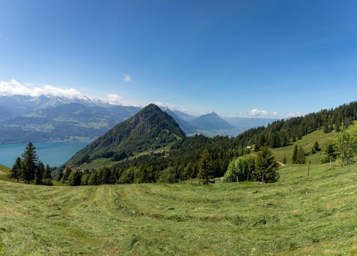 Rigi-Burggeist Alpine Guesthouse 게르사우 외부 사진