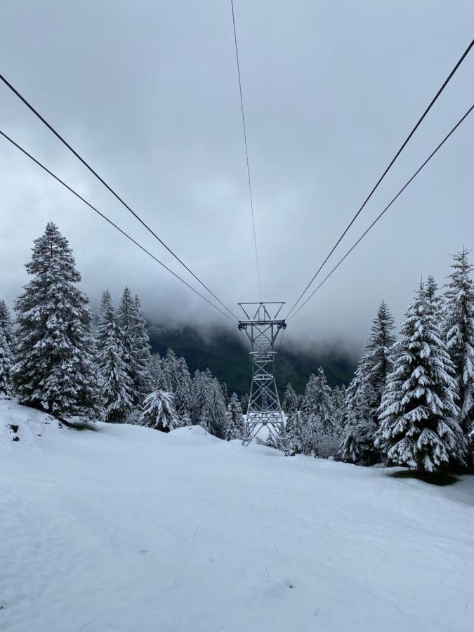 Rigi-Burggeist Alpine Guesthouse 게르사우 외부 사진