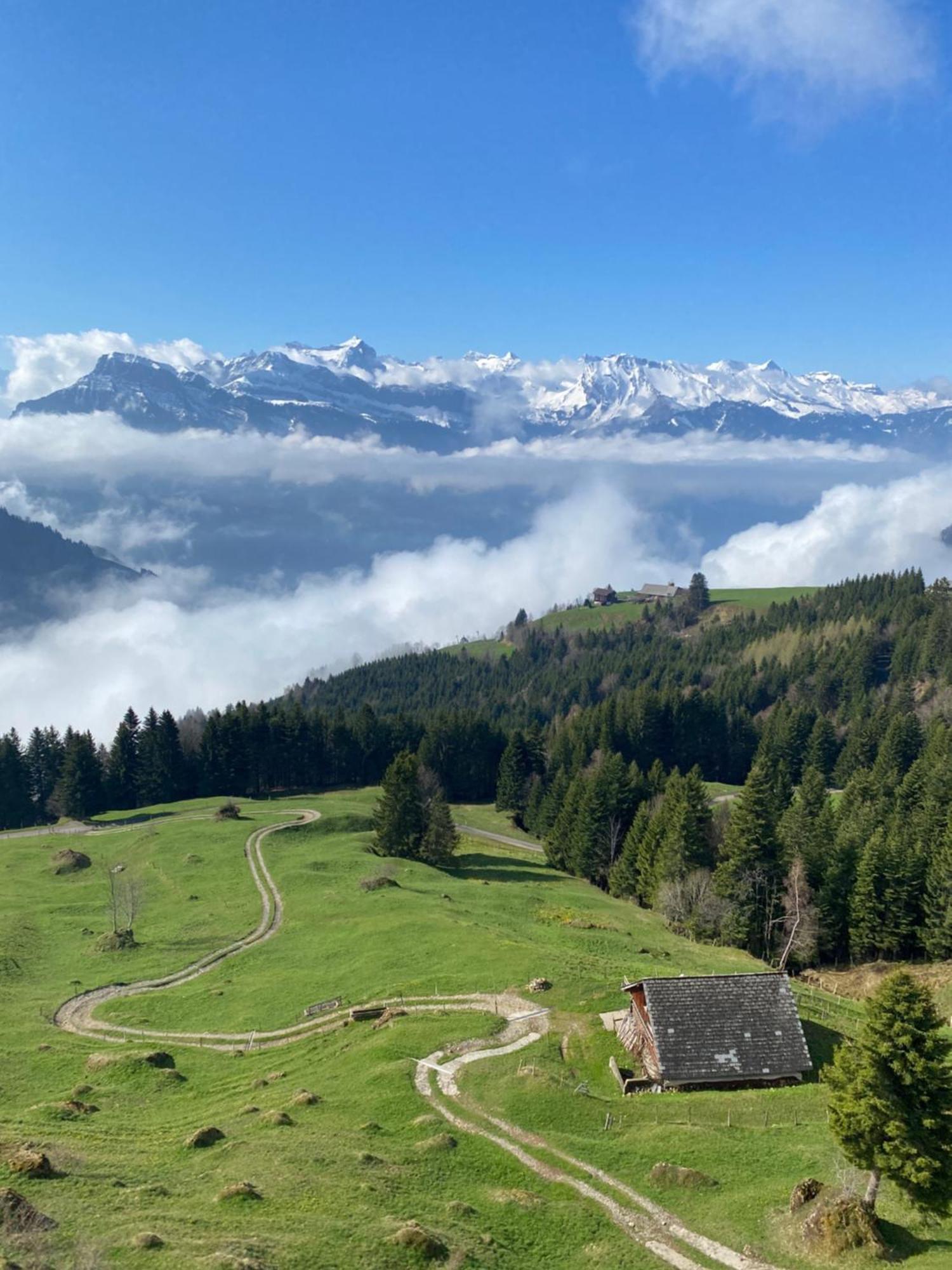 Rigi-Burggeist Alpine Guesthouse 게르사우 외부 사진